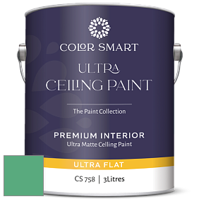 COLOR SMART CS 758 ULTRA CEILING PAINT ультраматовая краска цвет NCS S 2050-G 