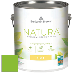 Benjamin Moore 512 Natura Interior Flat Finish матовая краска цвет NCS S 0580-G30Y 