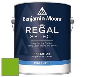 Benjamin Moore 549 Regal Select Waterborne Interior Eggshell Finish краска цвет 2031-20 Paradise Green