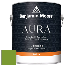 Benjamin Moore Aura 526 Waterborne Interior Satin Finish покрытие цвет 2029-20 Baby Fern