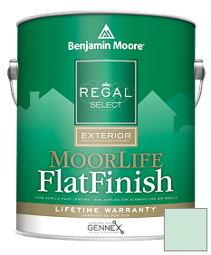 Краска Regal Select Exterior Paint-MoorLife Flat Finish (W105) цвет 583 Mountainview