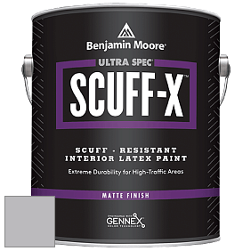 Benjamin Moore 484 Ultra Spec SCUFF-X Interior Matte Finish краска цвет NCS S 2502-R50B 