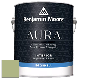 Benjamin Moore Aura 524 Waterborne Interior Eggshell Finish краска цвет NCS S 2030-G40Y 