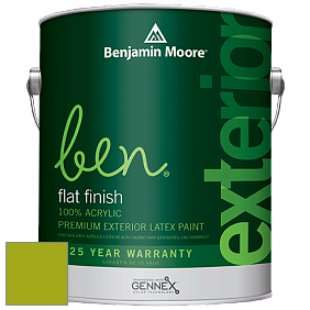 Benjamin Moore Ben 541 Waterborne Exterior Flat Finish краска цвет 2027-10 Dark Lime