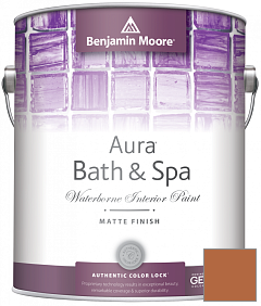 Краска Benjamin Moore Aura Bath & Spa Interior Paint Matte Finish (532) цвет 2166-20 Caramel Latte