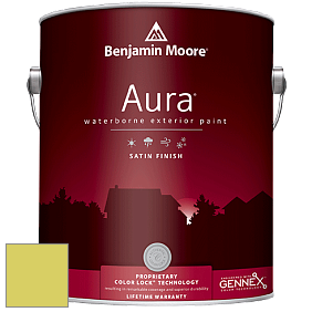 Benjamin Moore Aura 631 Waterborne Exterior Satin Finish краска цвет 2027-40 Grape Green