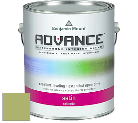Benjamin Moore 792 Advance Interior Paint-Satin эмаль цвет NCS S 2040-G50Y 