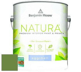 Benjamin Moore 513 Natura Interior Eggshell Finish краска с блеском цвет NCS S 3060-G30Y 