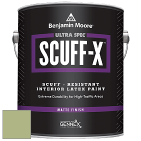 Benjamin Moore 484 Ultra Spec SCUFF-X Interior Matte Finish краска цвет NCS S 2030-G40Y 
