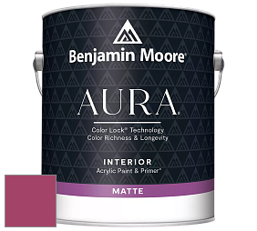 Benjamin Moore Aura 522 Interior Paint - Matte краска цвет NCS S 2065-R20B 