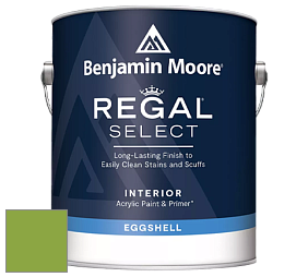 Benjamin Moore 549 Regal Select Waterborne Interior Eggshell Finish краска цвет 2029-30 Rosemary Green