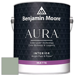Benjamin Moore Aura 522 Interior Paint - Matte краска цвет NCS S 3010-G20Y 