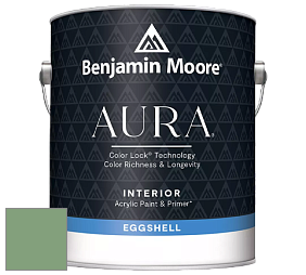 Benjamin Moore Aura 524 Waterborne Interior Eggshell Finish краска цвет NCS S 3030-G20Y 
