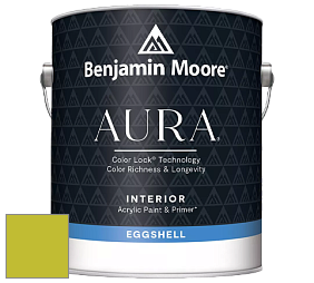 Benjamin Moore Aura 524 Waterborne Interior Eggshell Finish краска цвет NCS S 1070-G60Y 