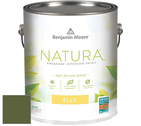 Benjamin Moore 512 Natura Interior Flat Finish матовая краска цвет NCS S 5540-G40Y 