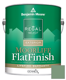Краска Regal Select Exterior Paint-MoorLife Flat Finish (W105) цвет HC-128 BM HC-128