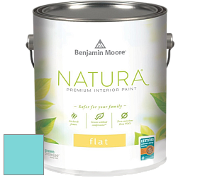 Benjamin Moore 512 Natura Interior Flat Finish матовая краска цвет NCS S 0540-B30G 