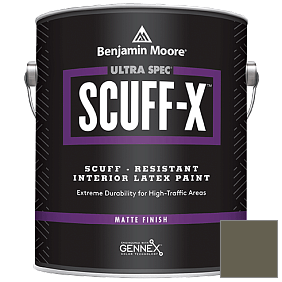 Краска Ultra Spec SCUFF-X Interior Matte Finish (484) цвет 2141-20 Cabbage Patch