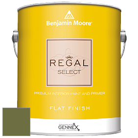 Benjamin Moore 547 Regal Select Waterborne Interior Flat Finish краска цвет NCS S 5040-G50Y 