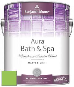 Benjamin Moore Aura 532 Bath & Spa Waterborne Interior Paint Matte Finish краска цвет NCS S 0570-G30Y 