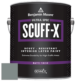 Benjamin Moore 484 Ultra Spec SCUFF-X Interior Matte Finish краска цвет NCS S 5005-B80G 