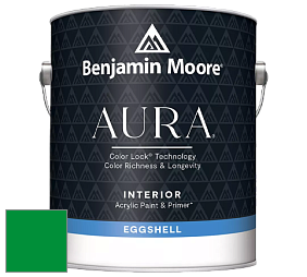 Benjamin Moore Aura 524 Waterborne Interior Eggshell Finish краска цвет RAL 6037 