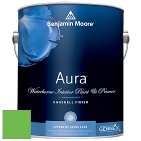Benjamin Moore Aura 524 Waterborne Interior Eggshell Finish краска цвет NCS S 0575-G20Y 