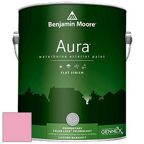 Benjamin Moore Aura 629 Waterborne Exterior Flat Finish краска цвет 2000-50 Blush Tone