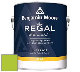 Benjamin Moore 547 Regal Select Waterborne Interior Flat Finish краска цвет NCS S 0575-G40Y 
