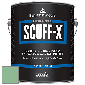 Benjamin Moore 485 Ultra Spec SCUFF-X Interior Eggshell Finish краска цвет NCS S 2030-G10Y 