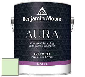 Benjamin Moore Aura 522 Interior Paint - Matte краска цвет 2032-60 Citra Lime