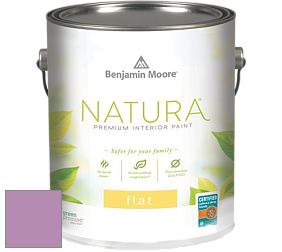 Benjamin Moore 512 Natura Interior Flat Finish матовая краска цвет NCS S 2040-R40B 