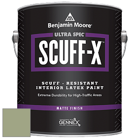 Benjamin Moore 484 Ultra Spec SCUFF-X Interior Matte Finish краска цвет NCS S 3020-G40Y 