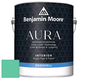 Benjamin Moore Aura 524 Waterborne Interior Eggshell Finish краска цвет NCS S 1050-B90G 