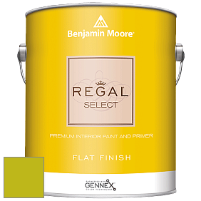 Benjamin Moore 547 Regal Select Waterborne Interior Flat Finish краска цвет NCS S 1075-G60Y 
