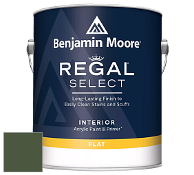 Benjamin Moore 547 Regal Select Waterborne Interior Flat Finish краска цвет RAL 6003 