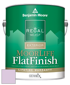 Benjamin Moore W105 Regal Select Exterior Paint-MoorLife Flat Finish краска цвет 2073-60 Pale Iris