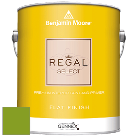 Benjamin Moore 547 Regal Select Waterborne Interior Flat Finish краска цвет 2028-10 Iguana Green