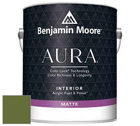 Benjamin Moore Aura 522 Interior Paint - Matte краска цвет NCS S 4550-G40Y 
