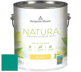Benjamin Moore 512 Natura Interior Flat Finish матовая краска цвет 2048-30 Aruba Blue