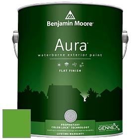 Benjamin Moore Aura 629 Waterborne Exterior Flat Finish краска цвет 2032-20 Traffic Light Green