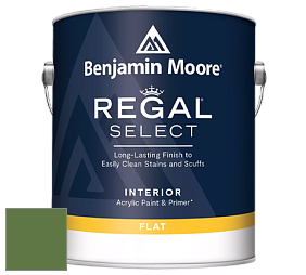 Benjamin Moore 547 Regal Select Waterborne Interior Flat Finish краска цвет NCS S 4050-G30Y 