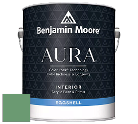 Benjamin Moore Aura 524 Waterborne Interior Eggshell Finish краска цвет NCS S 3040-G10Y 