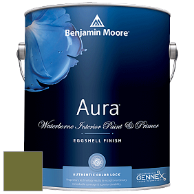 Benjamin Moore Aura 524 Waterborne Interior Eggshell Finish краска цвет NCS S 4550-G50Y 