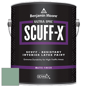 Benjamin Moore 484 Ultra Spec SCUFF-X Interior Matte Finish краска цвет NCS S 3020-G 