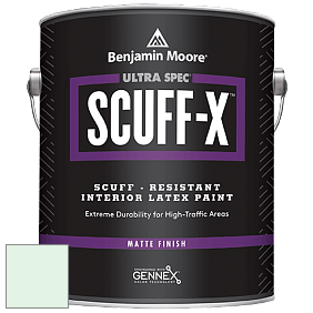 Benjamin Moore 484 Ultra Spec SCUFF-X Interior Matte Finish краска цвет 2036-70 CrÃ¨me de Mint