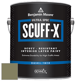 Benjamin Moore 485 Ultra Spec SCUFF-X Interior Eggshell Finish краска цвет NCS S 5020-G70Y 
