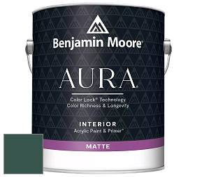 Benjamin Moore Aura 522 Interior Paint - Matte краска цвет 2047-10 Forest Green
