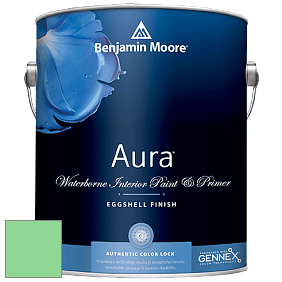 Benjamin Moore Aura 524 Waterborne Interior Eggshell Finish краска цвет NCS S 0550-G10Y 