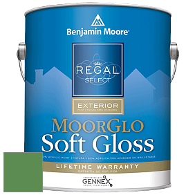 Benjamin Moore W096 Regal Select Exterior Paint-Moor GloSoft Gloss Finish краска цвет 2034-30 Grassy Fields